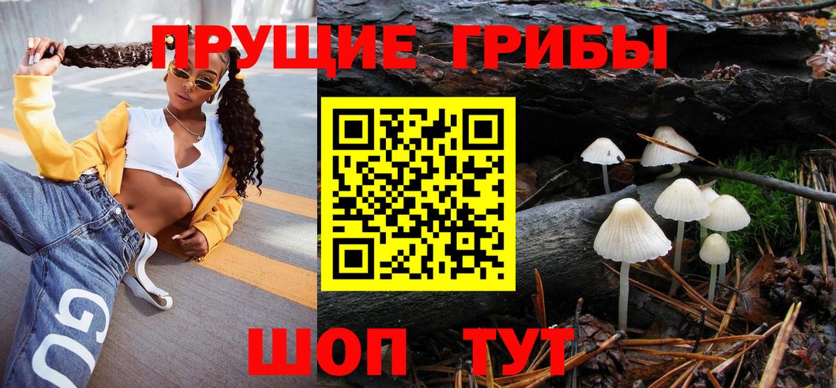 Усть-Джегута  что такое наркотик  Вход с VPN  Галлюциногенные грибы мухоморы 
