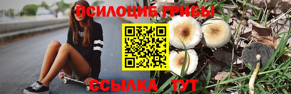 Галлюциногенные грибы GOLDEN TEACHER Усть-Джегута